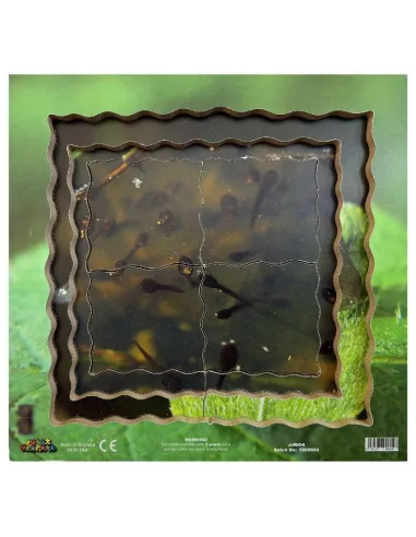 Just Jigsaws Puzzle životní cyklus - Žába