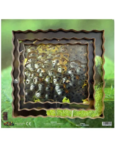 Just Jigsaws Puzzle životní cyklus - Žába
