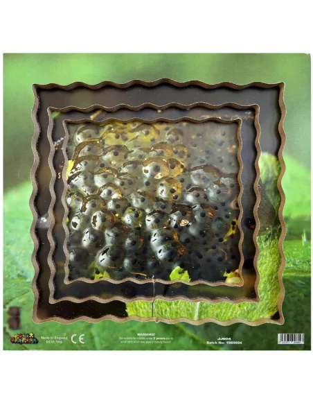 Just Jigsaws Puzzle životní cyklus - Žába