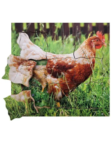 Just Jigsaws Puzzle životní cyklus - Slepice