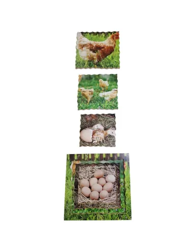 Just Jigsaws Puzzle životní cyklus - Slepice