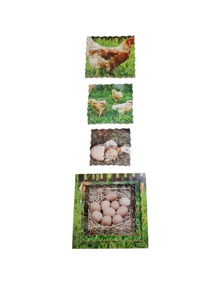 Just Jigsaws Puzzle životní cyklus - Slepice