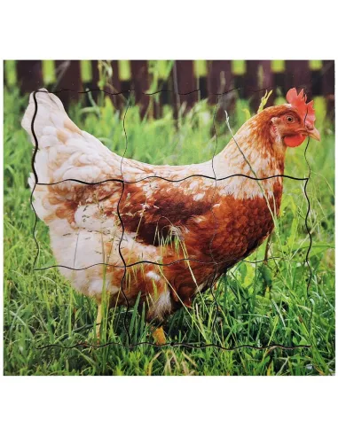 Just Jigsaws Puzzle životní cyklus - Slepice