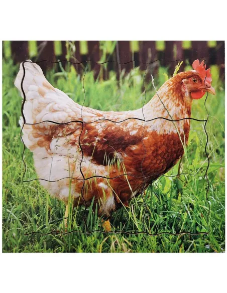 Just Jigsaws Puzzle životní cyklus - Slepice