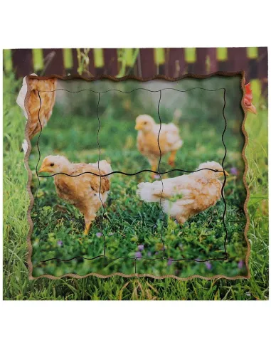 Just Jigsaws Puzzle životní cyklus - Slepice