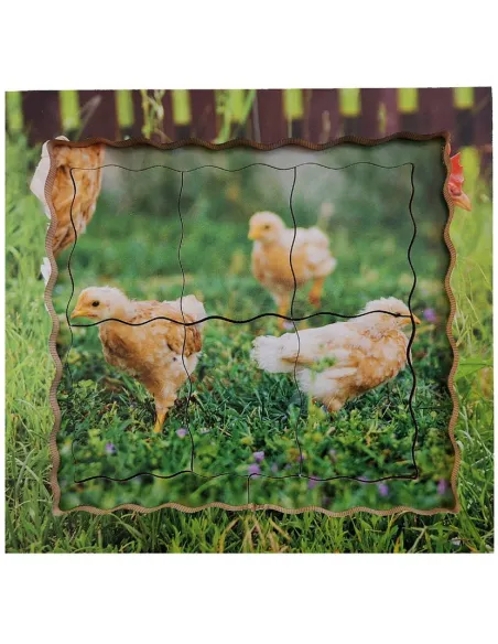 Just Jigsaws Puzzle životní cyklus - Slepice