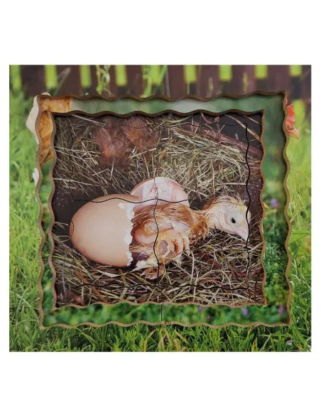 Just Jigsaws Puzzle životní cyklus - Slepice