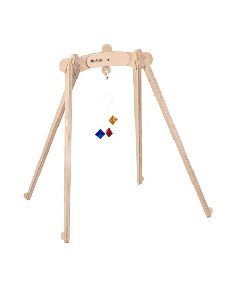 Nienhuis - Octahedron Mobil