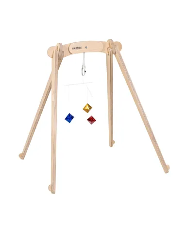 Nienhuis - Octahedron Mobil
