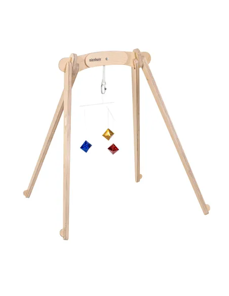 Nienhuis - Octahedron Mobil