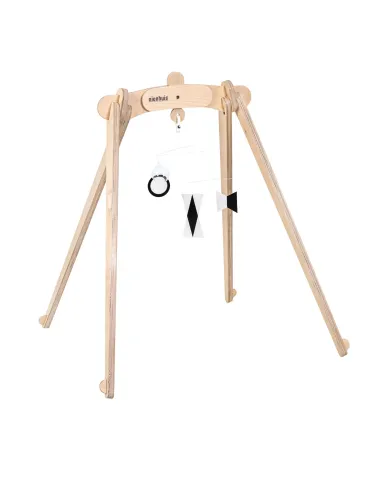 Nienhuis - Munari Mobil