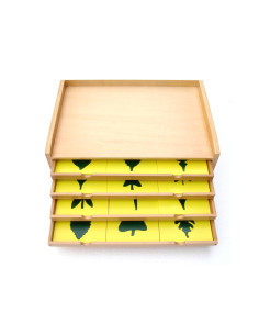 Moyo Montessori Botanická...