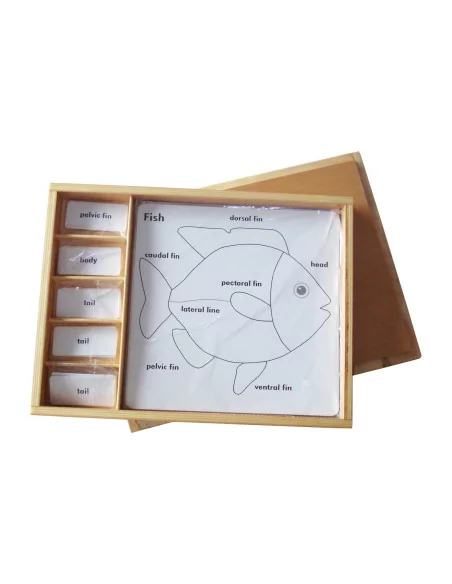 Moyo Montessori Sada aktivit k zoologickým puzzle (popisky v ANJ)