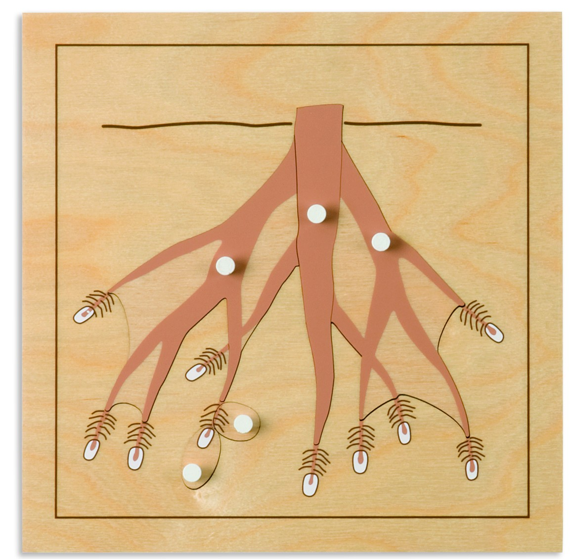 Nienhuis - Puzzle – kořen