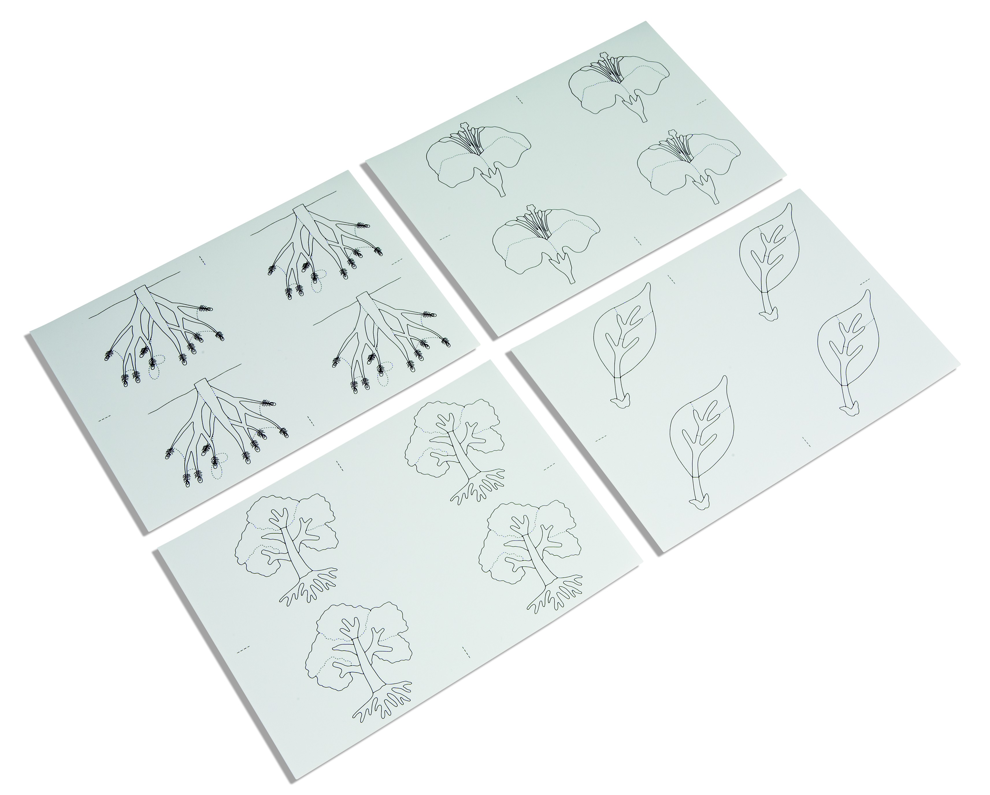 Nienhuis - Kopírovací vzory pro Botanická puzzle