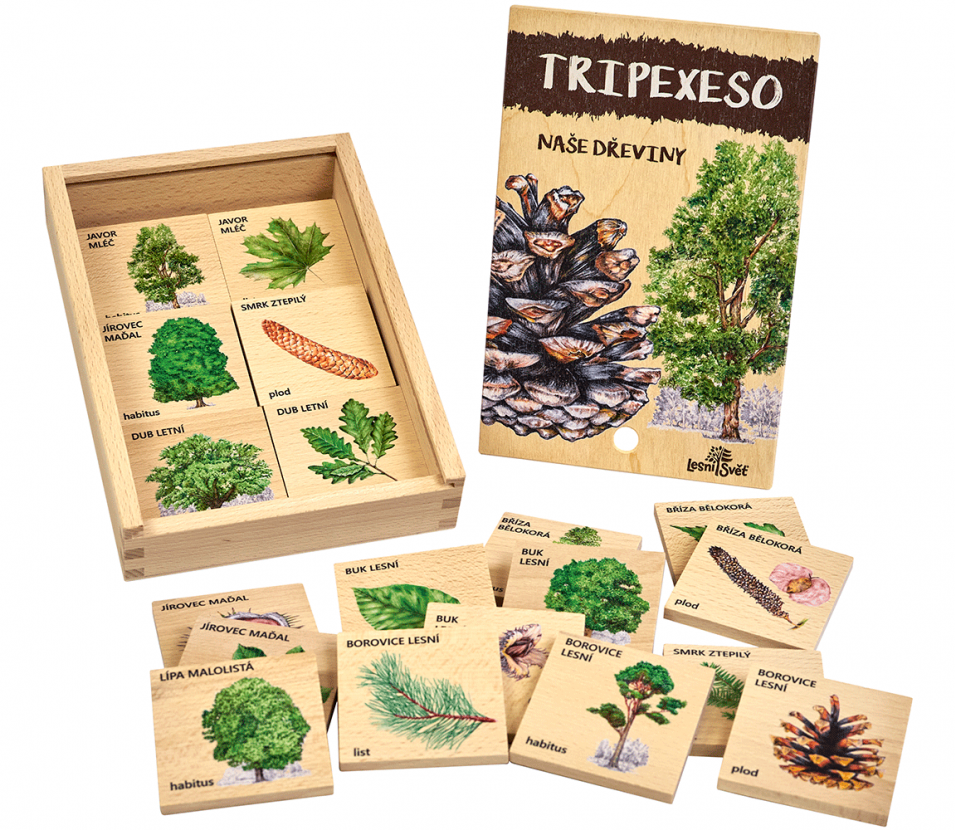 Lesní svět Tripexeso - Naše dřeviny