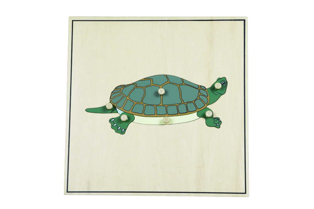 Montessori Puzzle s kostrou - želva